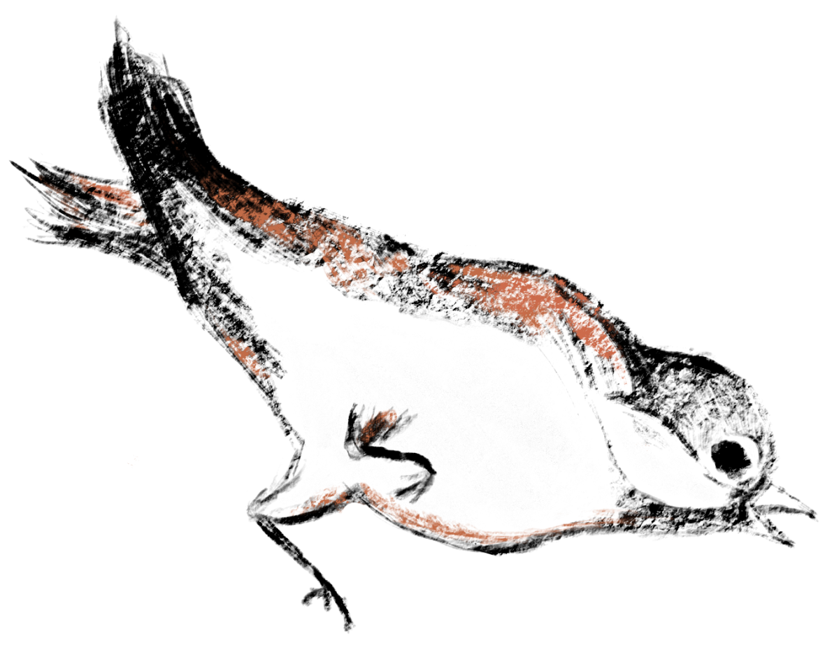 The Eclipse