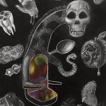 various objects, including a skull, tooth, spoon, armchair