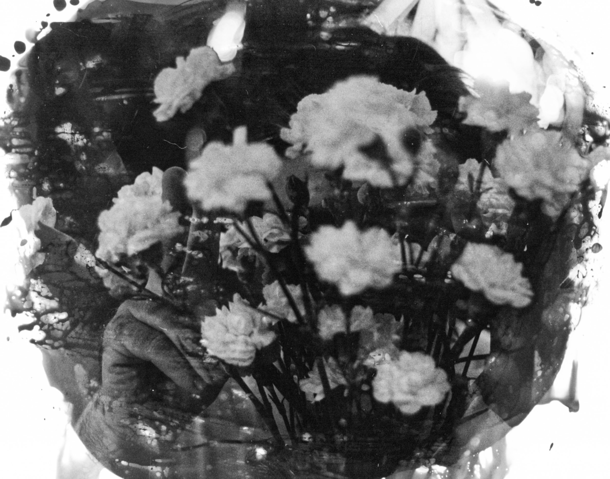 Lovers, They Say, Free Verse, Lina Kim