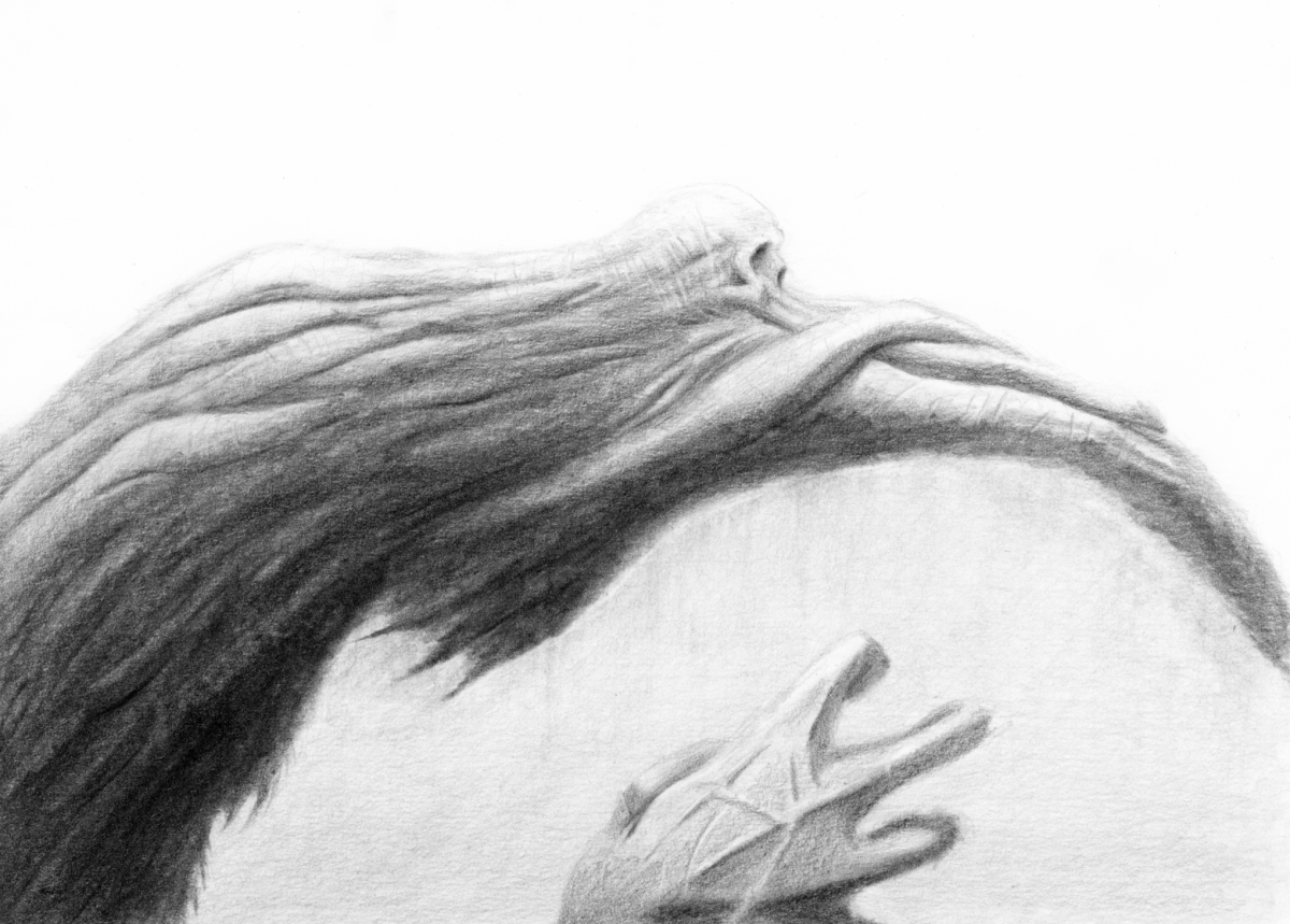 Plumet, Elizabeth Perez, Short Story