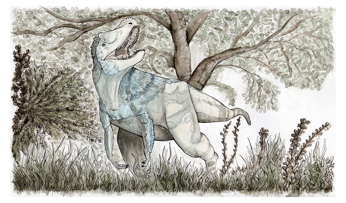 "Alioramus Eritquearcus"
Ink Contour by Avi Worth 