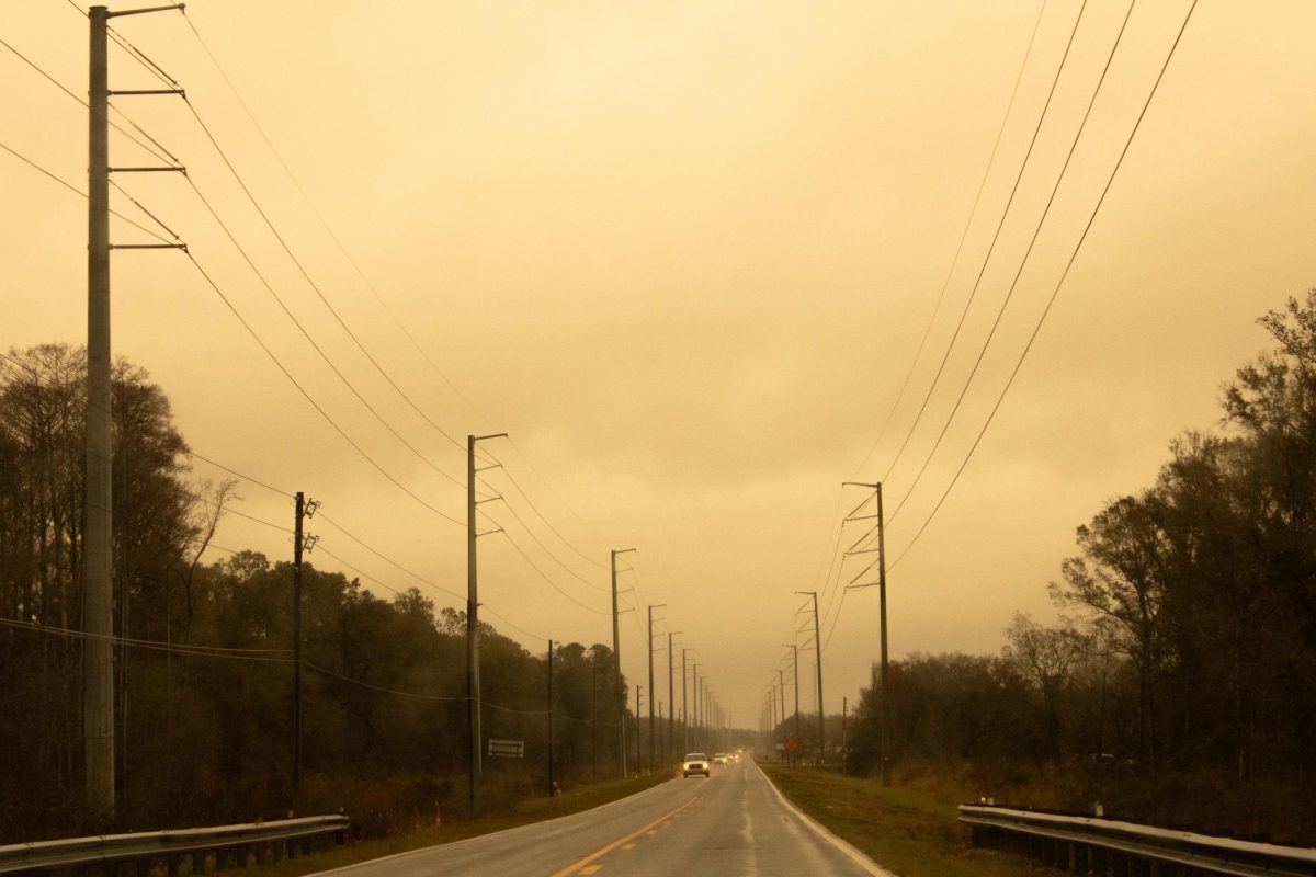 "The Dirty Road"
Photograph By Amelia Corbo