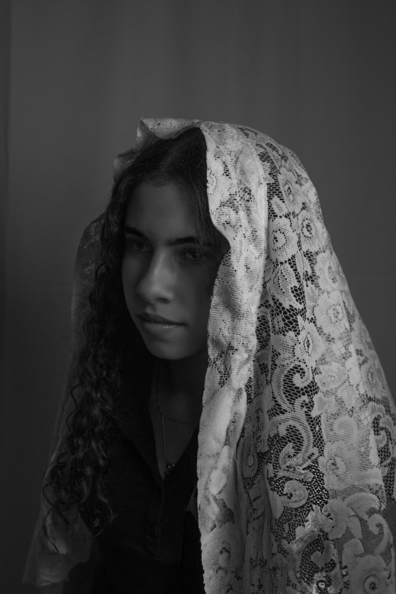 "Weeping Bride"
DSLR Basics by Milan Rouhani