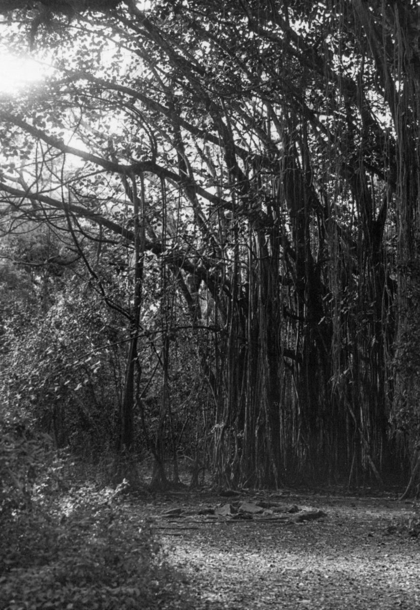 "Untitled"
35mm SLR manual film camera by Miranda Pulmano